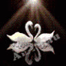 black_sun39