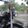 virgo298