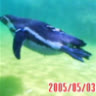 saobansa