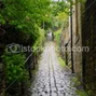 Somethings_in_rain