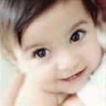 little_bee_bee
