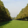 elbe