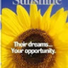 _sun_shine_