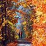 luong_tu_ngoc05