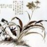 ngankhoa