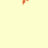 Nttrung83