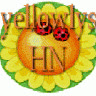yellowlys_hn