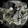 cl_dzung