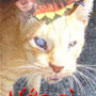 meomuthemcaran