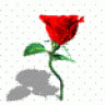 thuyxinh