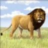 Tan_lion