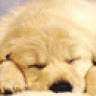 Bep_lua