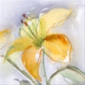 vu_thanh_0308