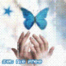 Wannee_Chang