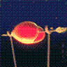 valentine2006