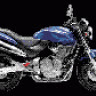 hornet600