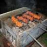 sheva86