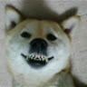 gotathuha