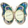 butterfly_shop
