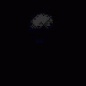 1_eyelid_wander