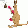du_hoc_australia