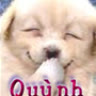 daudinhkiemtien