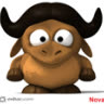 hoangnova