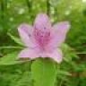 thanda06