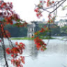 Hanoi_dem_tro_gio