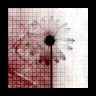 vnpassport_ttvnol