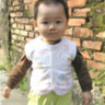 vungbienvang