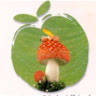 bacdau83tom