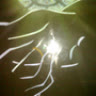 skywalk_ph4