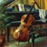 my_cello911