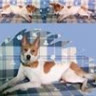 catkath