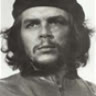 lenhhoxunghp