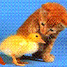 LionelLAT