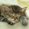 quyen_yeutinh