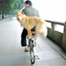 toi_yeu_vietnam