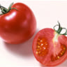 tomatotree