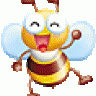 nova9009