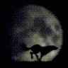 fatal_eror