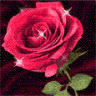 iamhappy