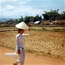 trieuvananh