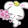 lazymoon86