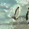 giaomua2007