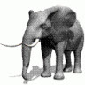 Jumbo1978
