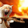 meodeptrai
