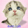 kittiphuong