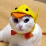 sushi8877